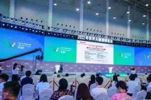 大健康产业进入盲区，接下来的路在何方？
